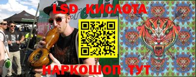 сатива Краснодар
