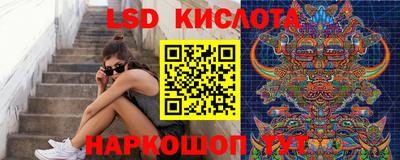 сатива Краснодар