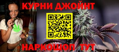 сатива Краснодар