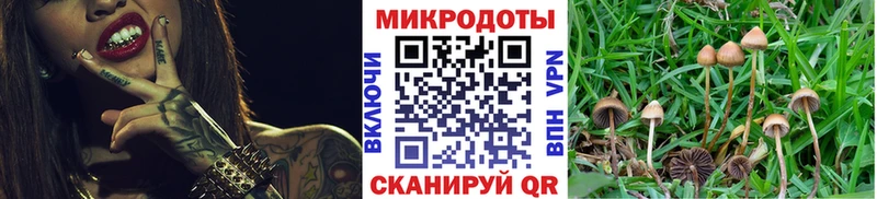 где можно купить наркотик  Тула  Галлюциногенные грибы Psilocybine cubensis 